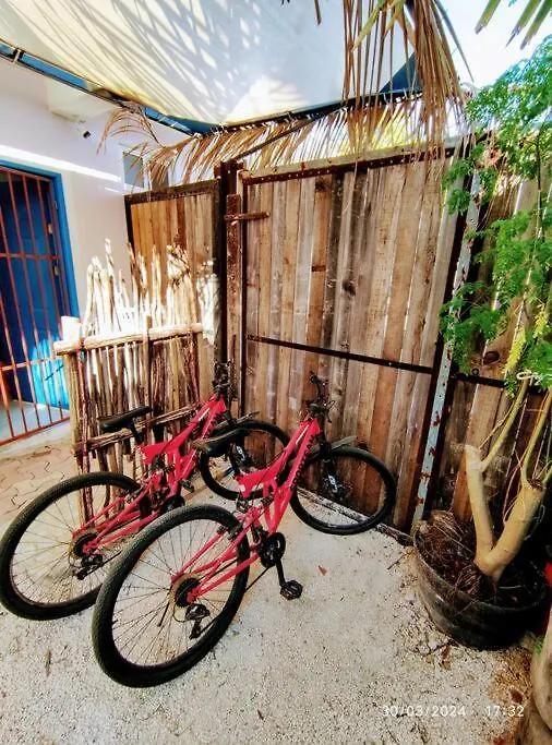 Little Oasis Cozumel Lejlighed