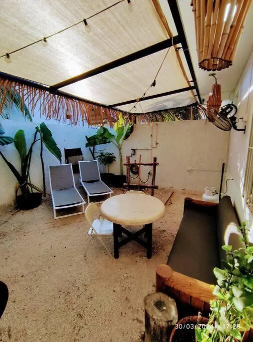 Little Oasis Cozumel Lejlighed